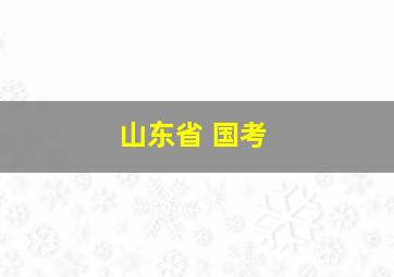 山东省 国考